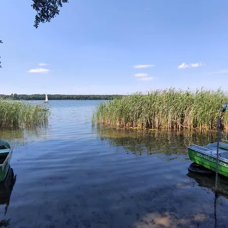 Boszkowo-dominice Blizniak 2 Dominice