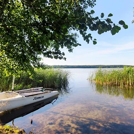 Boszkowo-dominice Blizniak 2 * Dominice