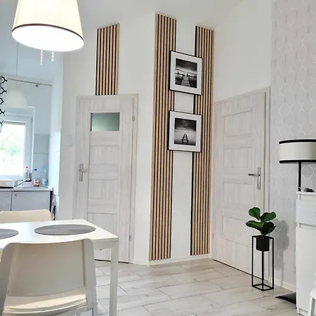 Boszkowo-dominice Blizniak 2 Дом отдыха Dominice