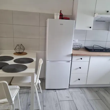 Boszkowo-dominice Blizniak 2 Ferienhaus *
