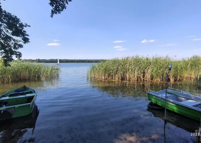 Boszkowo-dominice Bliźniak 2 Dominice