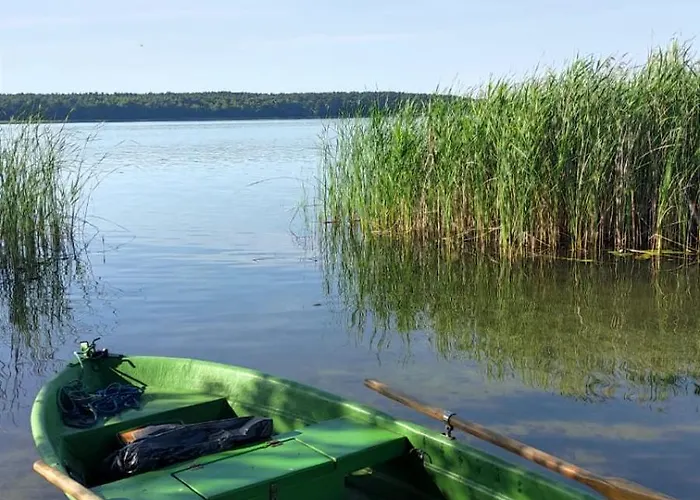 Boszkowo-dominice Bliźniak 2