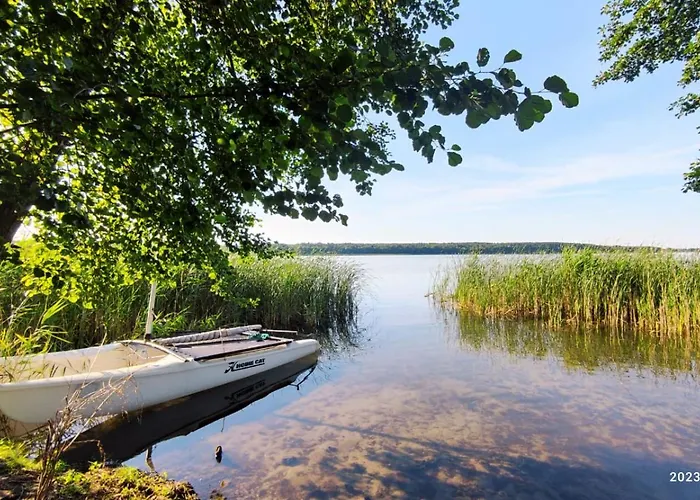 Boszkowo-dominice Blizniak 2 * Dominice