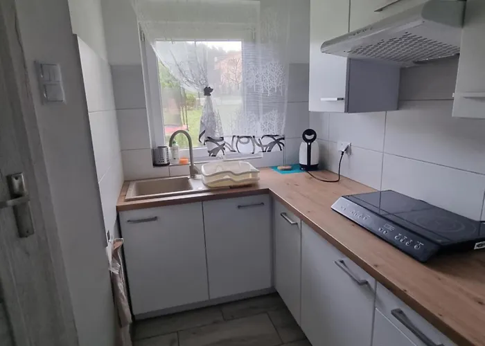 Dom wakacyjny Boszkowo-dominice Bliźniak 2 Dominice